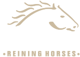 Vervecken Reining Horses