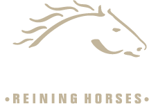 Vervecken Reining Horses